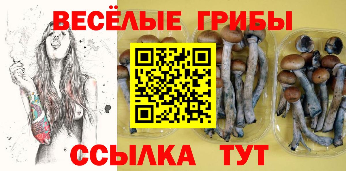 купить наркоту  Вход с VPN  Борзя  Псилоцибиновые грибы GOLDEN TEACHER  Галлюциногенные грибы Magic Shrooms 