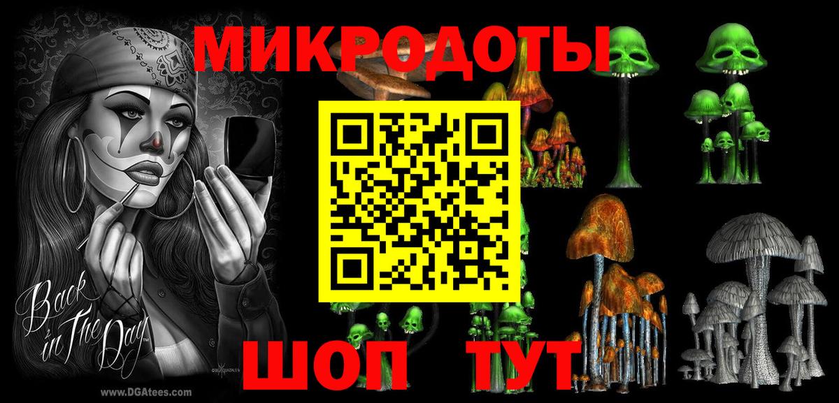 Галлюциногенные грибы Psilocybine cubensis Борзя